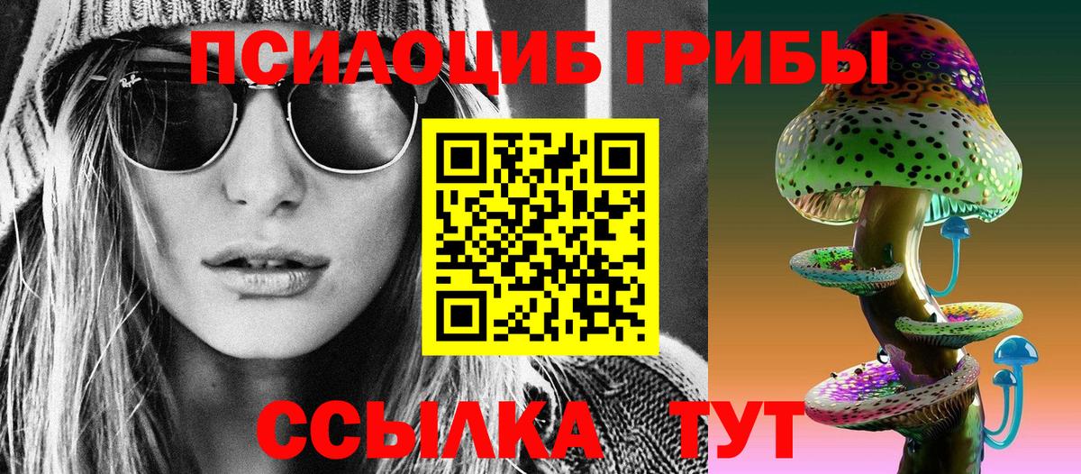 Краснодар  Псилоцибиновые грибы MAGIC MUSHROOMS  Вход с VPN 
