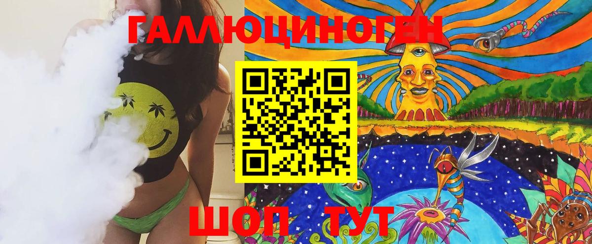 Псилоцибиновые грибы Psilocybine cubensis Краснодар